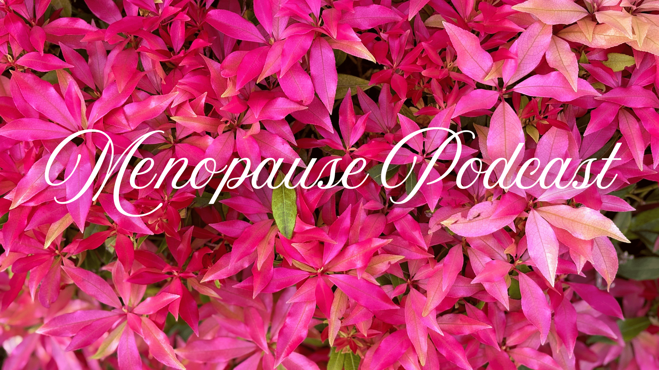 Let’s Talk About Menopause!