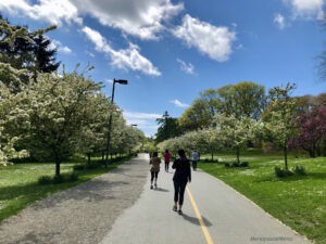 Walking in Seattle's Greenlake neighborhood on a sunny spring day